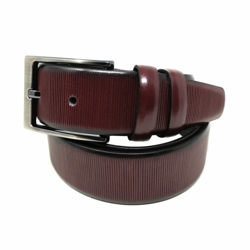 ΖΩΝΗ ΔΕΡΜΑΤΙΝΗ ΖΩΝΗ ΔΕΡΜΑΤΙΝΗ