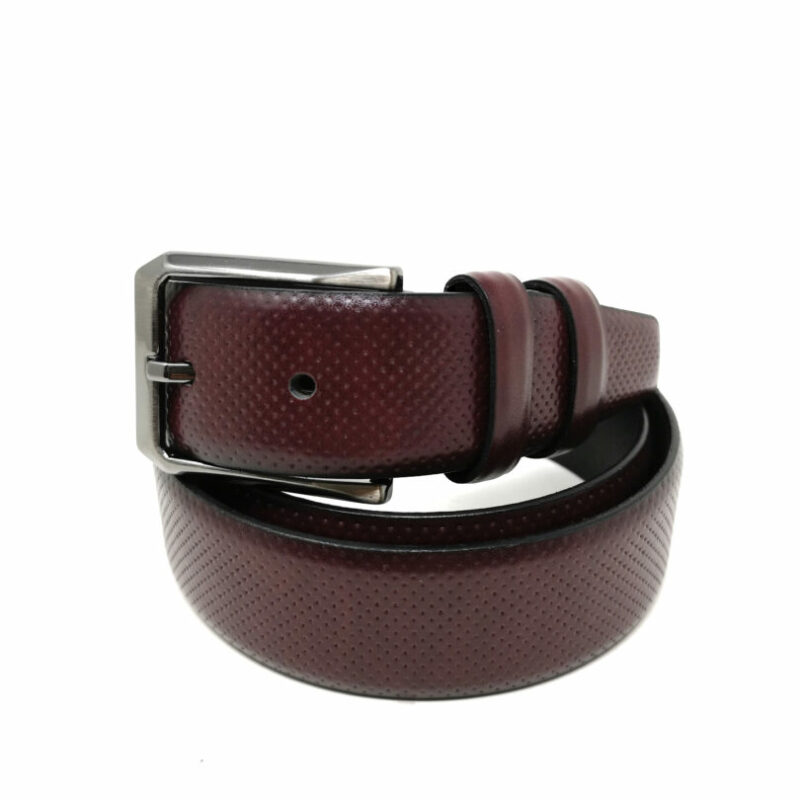 ΔΕΡΜΑΤΙΝΗ ΖΩΝΗ ΔΕΡΜΑΤΙΝΗ ΖΩΝΗ