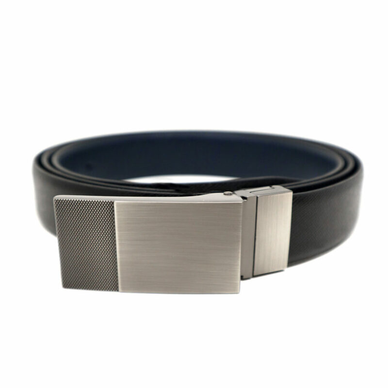 2038 03 ΖΩΝΗ ΔΕΡΜΑΤΙΝΗ