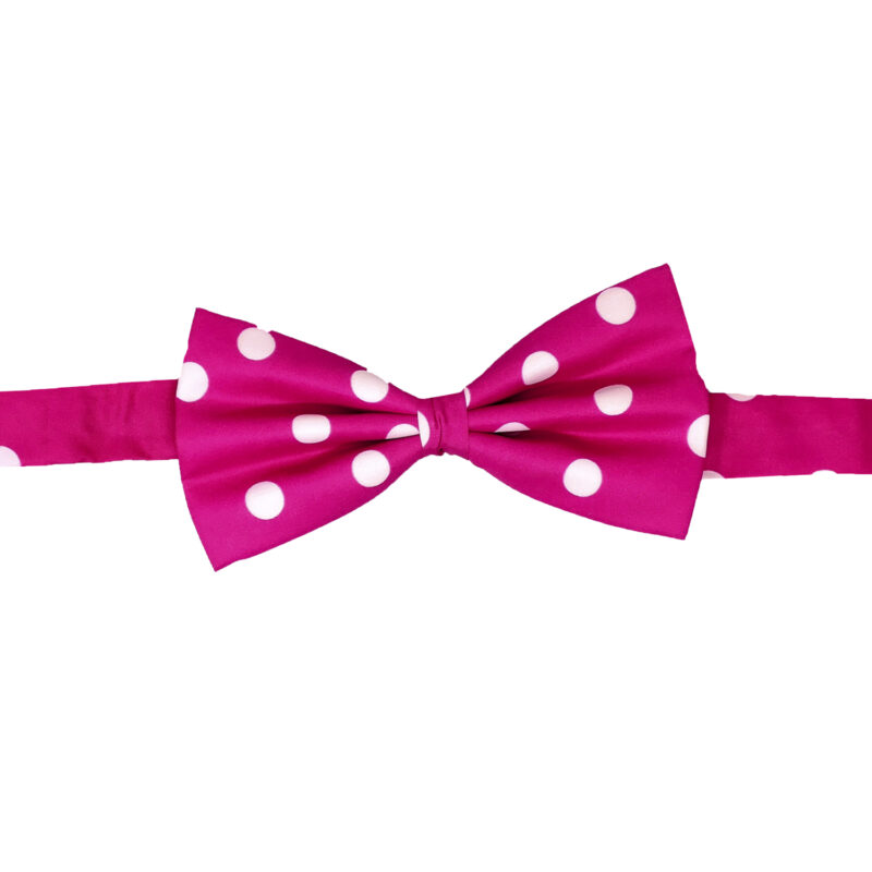 3005_11 ΠΑΠΙΓΙΟΝ