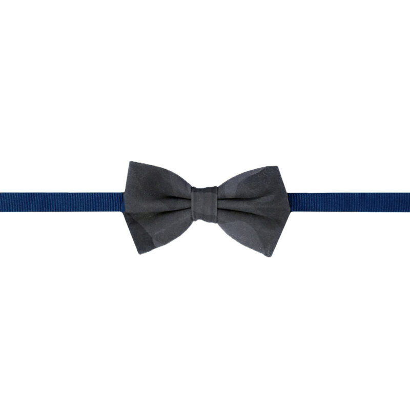 3006 09 ΠΑΠΙΓΙΟΝ